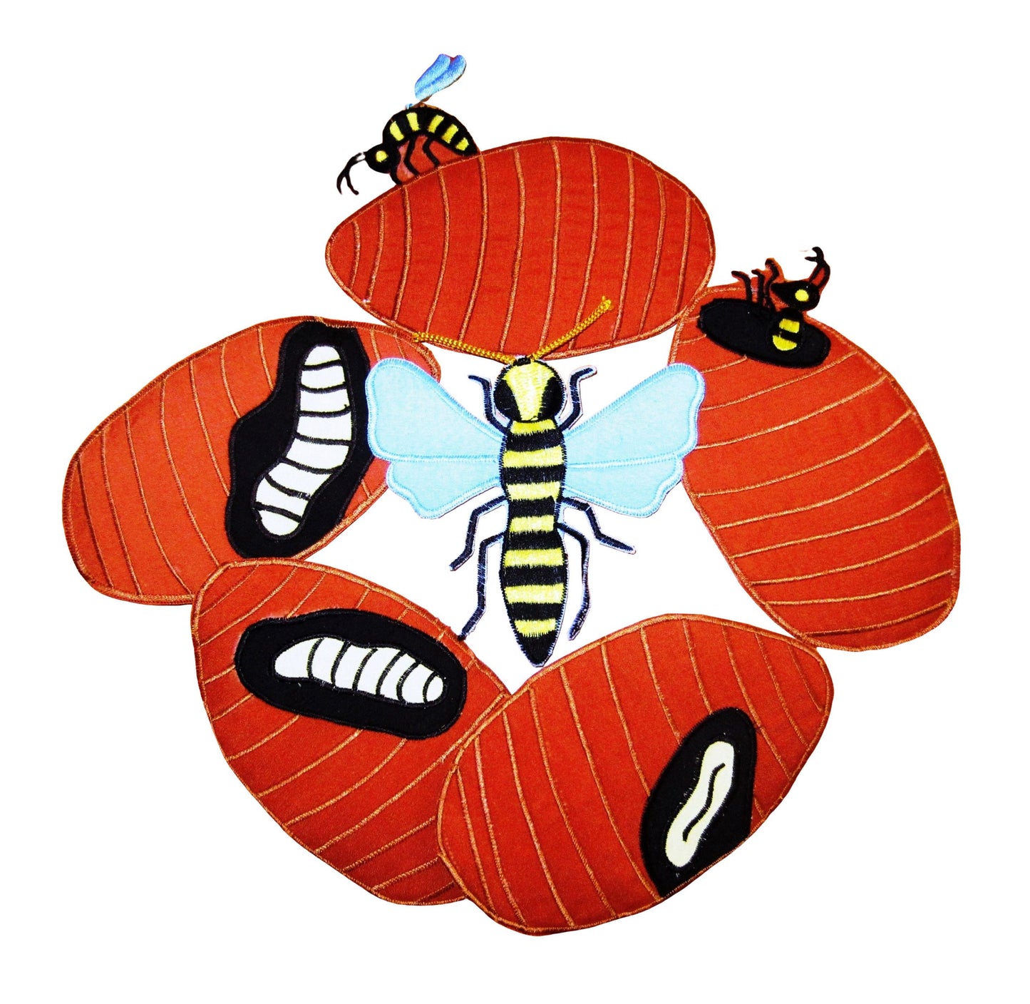 Life Cycle of a Wasp - Felt Board Story - Safety Issues.