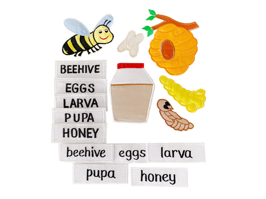 Life Cycle of a Bee - Felt Board Story