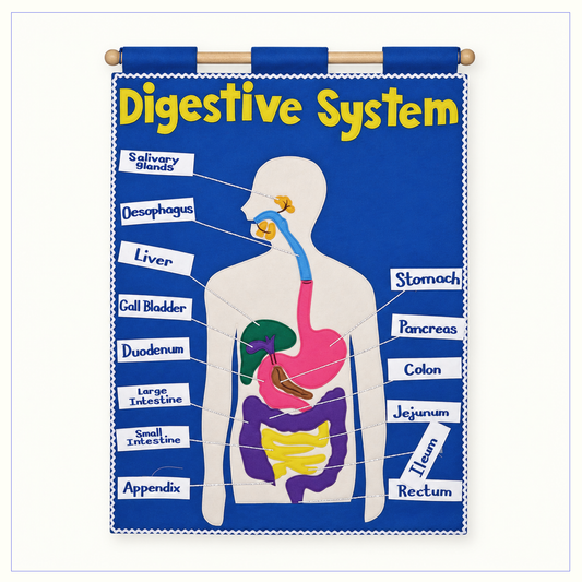 Digestive System - Fabric Wall Chart
