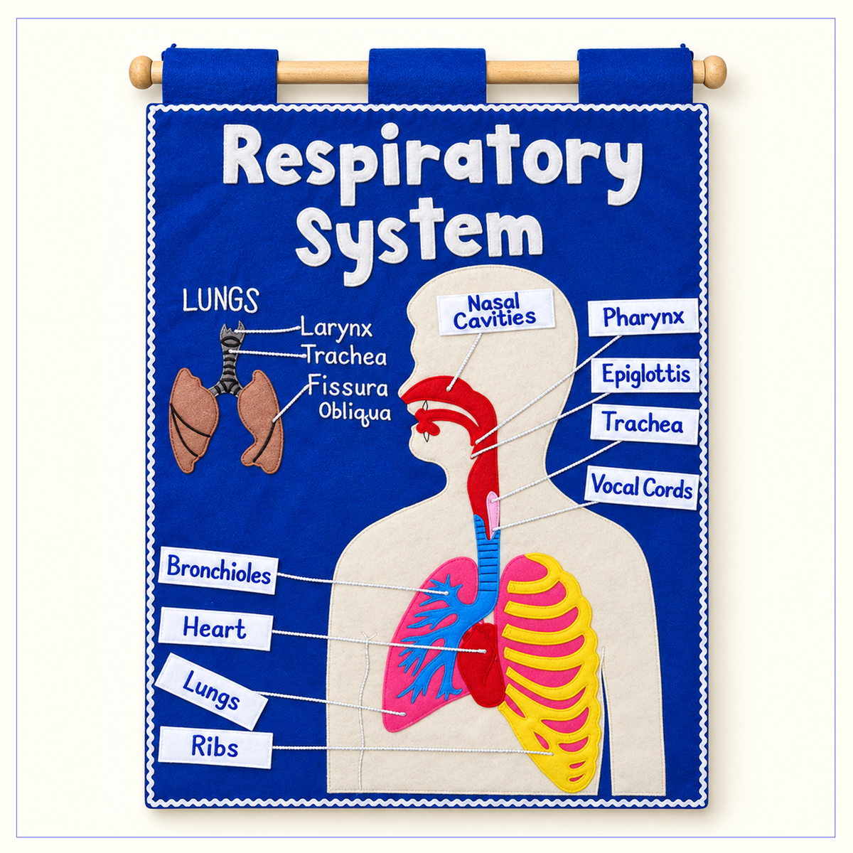 Respiratory System - Fabric Wall Chart