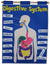 Digestive System - Fabric Wall Chart