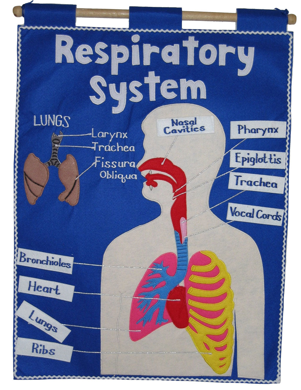 Respiratory System - Fabric Wall Chart